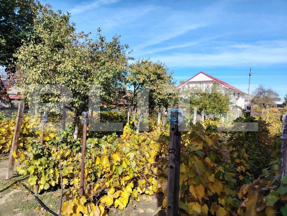 Casa de vânzare 4 camere Sud - 181252CV | BLITZ Craiova | Poza9