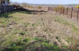 Teren de vânzare Nord - 168031TV | BLITZ Craiova | Poza4