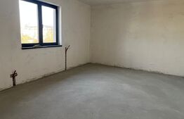 Vila P+1, 247 mp utili, 1200 mp teren, zona Damila