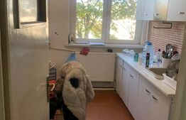 Apartament 2 camere, 49 mp, Calea Bucuresti