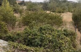 Teren Centura de Nord a Craiovei, 4908 mp, zona Meliss