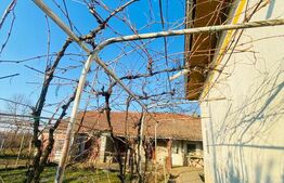 Casa pe parter, 2.753 mp teren, Marotinu de Sus