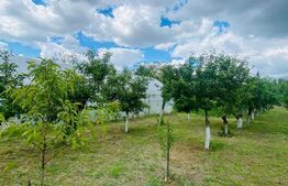 Casa pe parter, 2.753 mp teren, Marotinu de Sus