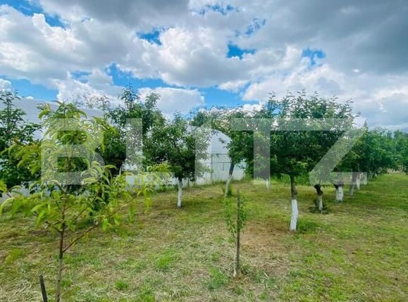 Casa de vânzare 4 camere Exterior Est - 181350CV | BLITZ Craiova | Poza8