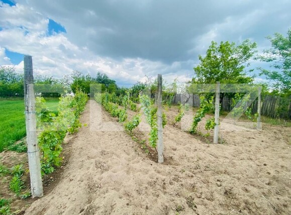 Casa de vânzare 4 camere Exterior Est - 181350CV | BLITZ Craiova | Poza9