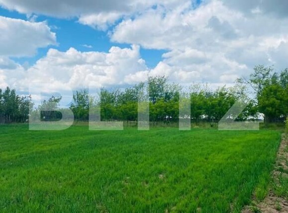 Casa de vânzare 4 camere Exterior Est - 181350CV | BLITZ Craiova | Poza7