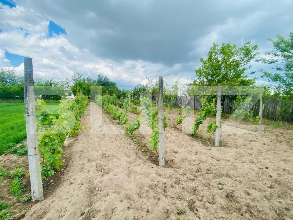 Casa de vânzare 4 camere Exterior Est - 181350CV | BLITZ Craiova | Poza9