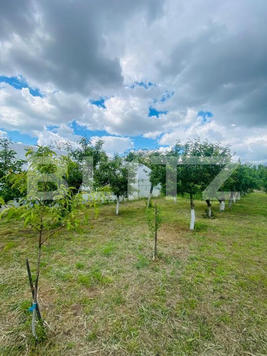 Casa de vânzare 4 camere Exterior Est - 181350CV | BLITZ Craiova | Poza8