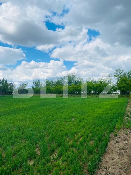 Casa de vânzare 4 camere Exterior Est - 181350CV | BLITZ Craiova | Poza7