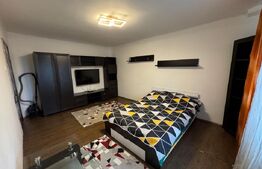 Garsoniera de inchiriat, 37 mp, Brazda lui Novac