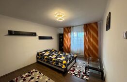 Garsoniera de inchiriat, 37 mp, Brazda lui Novac