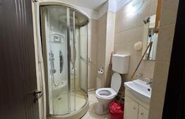 Garsoniera de inchiriat, 37 mp, Brazda lui Novac