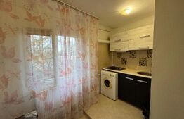 Garsoniera de inchiriat, 37 mp, Brazda lui Novac