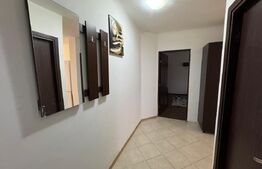 Garsoniera de inchiriat, 37 mp, Brazda lui Novac