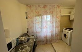 Garsoniera de inchiriat, 37 mp, Brazda lui Novac