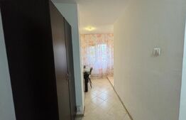 Garsoniera de inchiriat, 37 mp, Brazda lui Novac