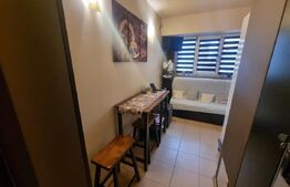 Garsoniera, 30 mp, zona Rovine 