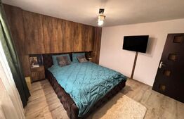 Casa 4 camere, 100 mp, zona Brestei 