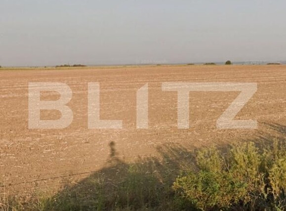 Teren de vânzare Carcea  - 181496TV | BLITZ Craiova | Poza1