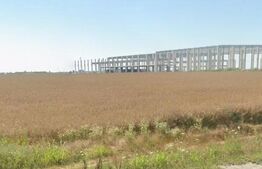 Oportunitate Investitie Teren Deschidere 20mp  ,Carcea, Zona Depozit Lidl