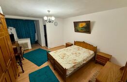 Garsoniera, zona Brazda, 32mp