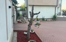 Casa S+P+1 252mp utili, 585 mp teren, zona Lăpuș