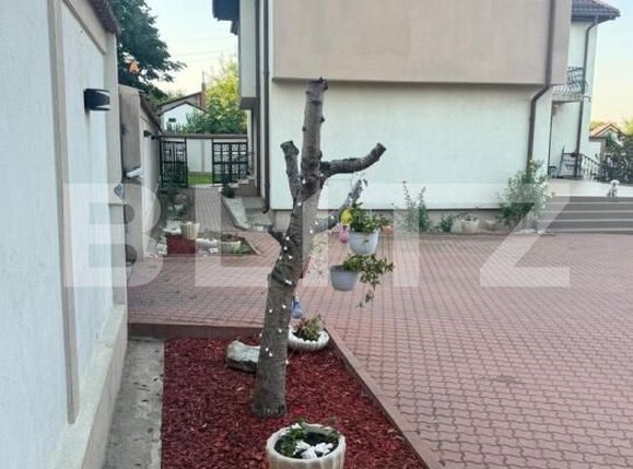 Casa de vânzare 4 camere Lapus Arges - 181730CV | BLITZ Craiova | Poza5