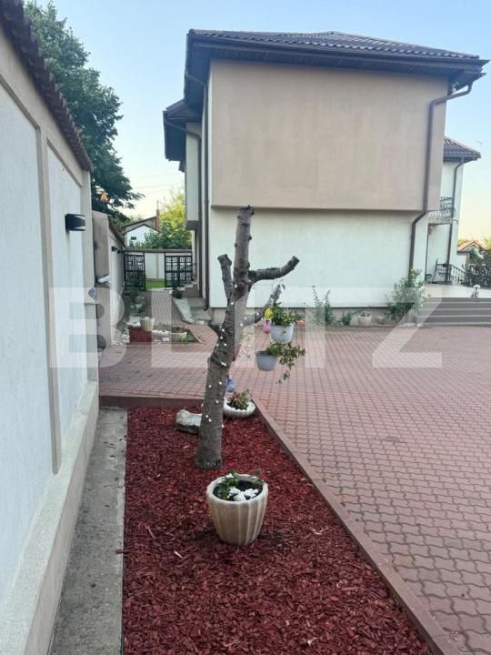 Casa de vânzare 4 camere Lapus Arges - 181730CV | BLITZ Craiova | Poza5