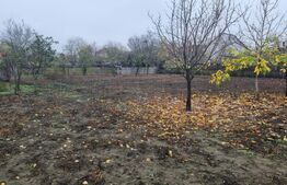 Casa, 740 mp, teren 1300 mp, zona Brestei