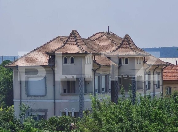 Casa de vânzare 12 camere Brestei - 181823CV | BLITZ Craiova | Poza3