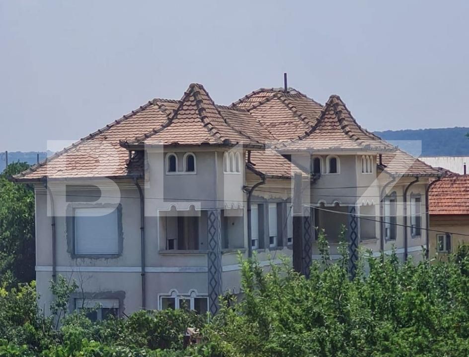 Casa de vânzare 12 camere Brestei - 181823CV | BLITZ Craiova | Poza3