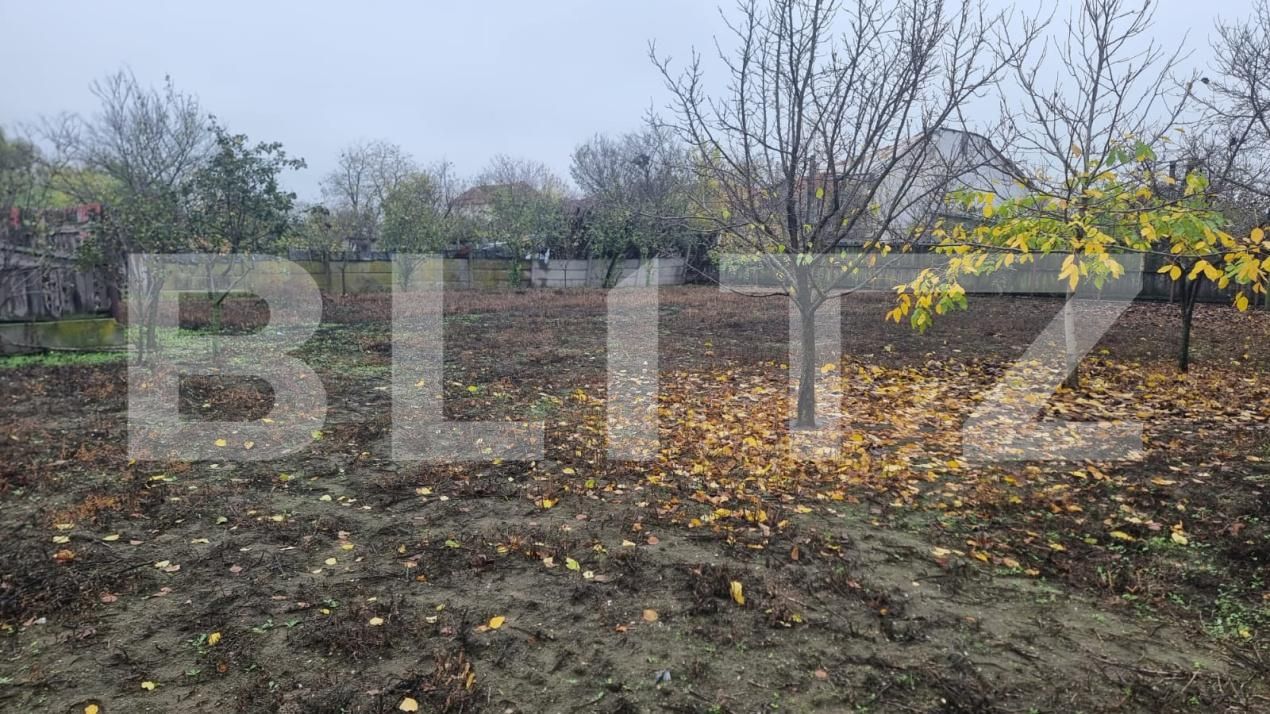 Casa de vânzare 12 camere Brestei - 181823CV | BLITZ Craiova | Poza14