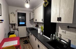 Apartament 2 camere, 50 mp, zona 1 Mai   Disponibil din ianuarie