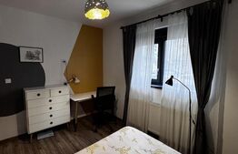 Apartament 2 camere, 50 mp, zona 1 Mai   Disponibil din ianuarie