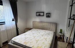 Apartament 2 camere, 50 mp, zona 1 Mai   Disponibil din ianuarie