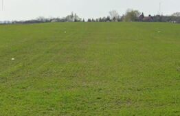 Teren de vânzare Carcea  - 180844TV | BLITZ Craiova | Poza1