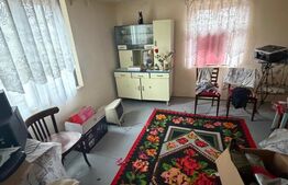 Casa/vila 70mp langa blocuri din caramida , 270mp teren, Filiasi