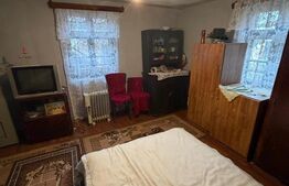 Casa/vila 70mp langa blocuri din caramida , 270mp teren, Filiasi