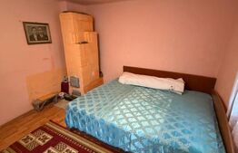Casa/vila 70mp langa blocuri din caramida , 270mp teren, Filiasi