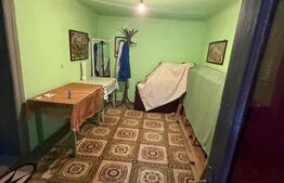 Casa/vila 70mp langa blocuri din caramida , 270mp teren, Filiasi