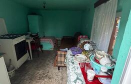 Casa/vila 70mp langa blocuri din caramida , 270mp teren, Filiasi