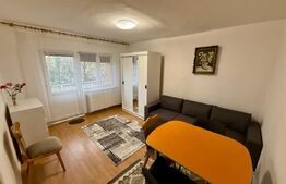 Garsoniera 36 mp, centrala proprie, Etaj 1,  Brazda lui Novac
