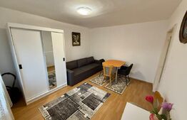 Garsoniera 36 mp, centrala proprie, Etaj 1,  Brazda lui Novac