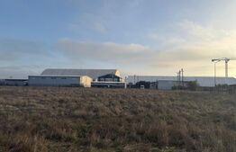 Teren intravilan , 3000 mp , deschidere 78 m, zona Carcea