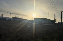 Teren intravilan , 3000 mp , deschidere 78 m, zona Carcea