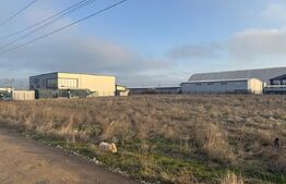 Teren intravilan , 3000 mp , deschidere 78 m, zona Carcea