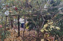 Proprietate in zona Parcului Romanescu, casa batraneasca si teren de 347 mp