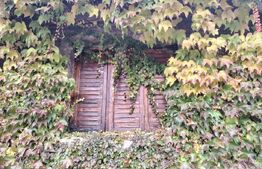 Proprietate in zona Parcului N Romanescu, casa batraneasca si teren de 347 mp