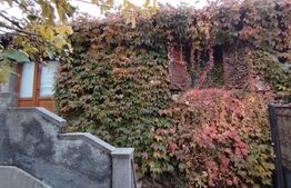 Proprietate in zona Parcului Romanescu, casa batraneasca si teren de 347 mp