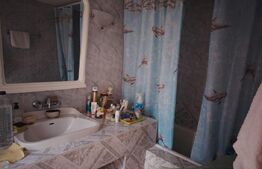 Proprietate in zona Parcului Romanescu, casa batraneasca si teren de 347 mp